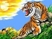 Схема "Бенгальский Тигр" Г-6013